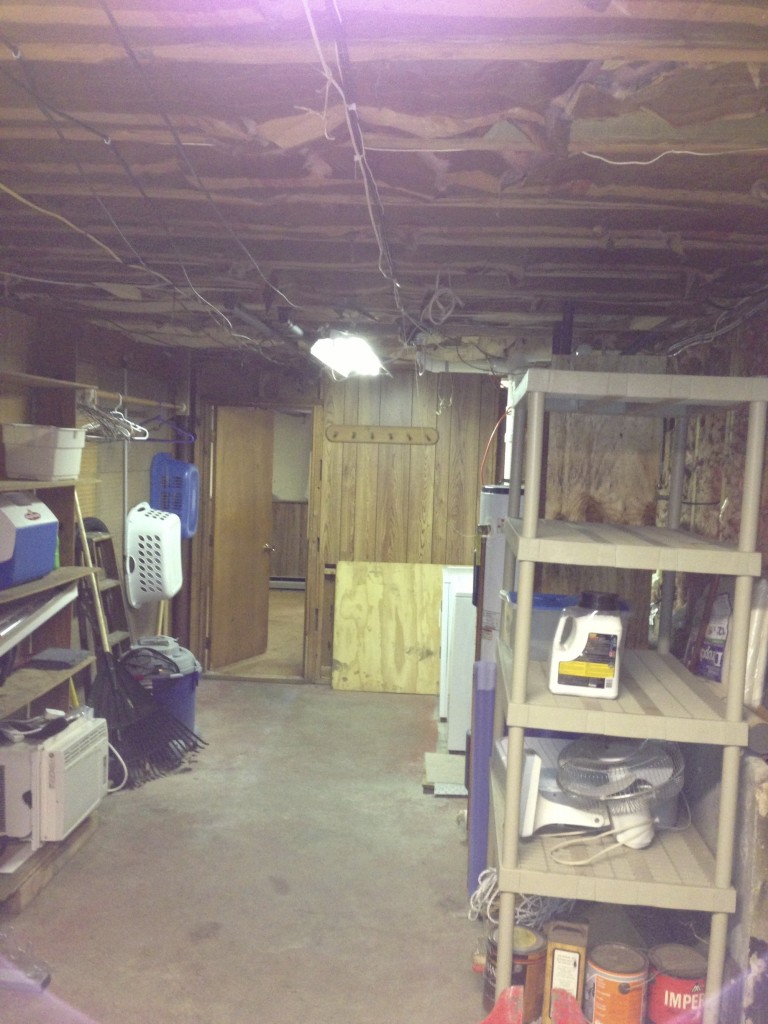 carver basement before